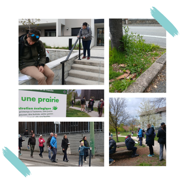 Première Marche Sensible Pleine Terre !